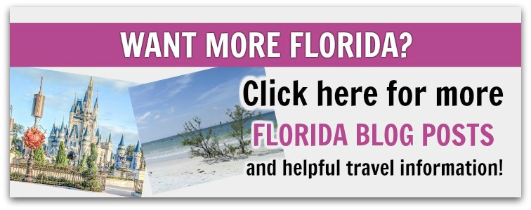 places to visit around clearwater florida