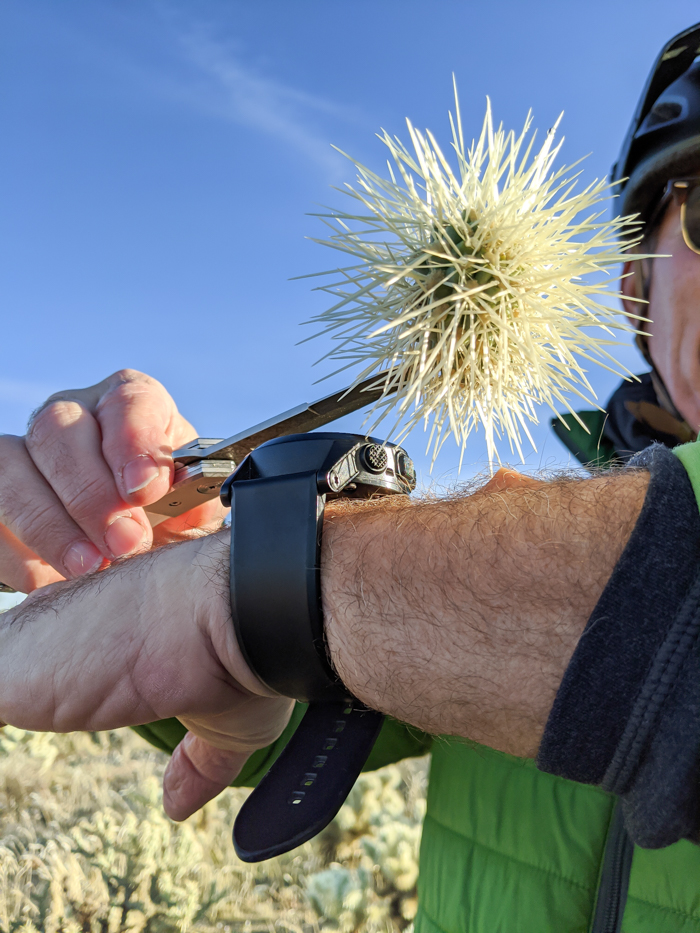 4 Days in Scottsdale, Arizona // A Jam-Packed Itinerary With a Bit of Everything | Things to do in Scottsdale: mountain biking in the McDowell Sonoran Preserve with REI adventures #rei #scottsdale #arizona #desert #mountainbiking