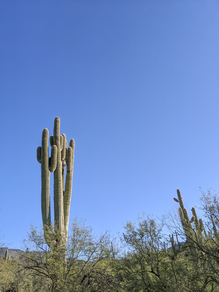 4 Days in Scottsdale, Arizona // A Jam-Packed Itinerary With a Bit of Everything | Things to do in Scottsdale: metate trail hike with civana, #hiking #desert #civana #scottsdale #arizona