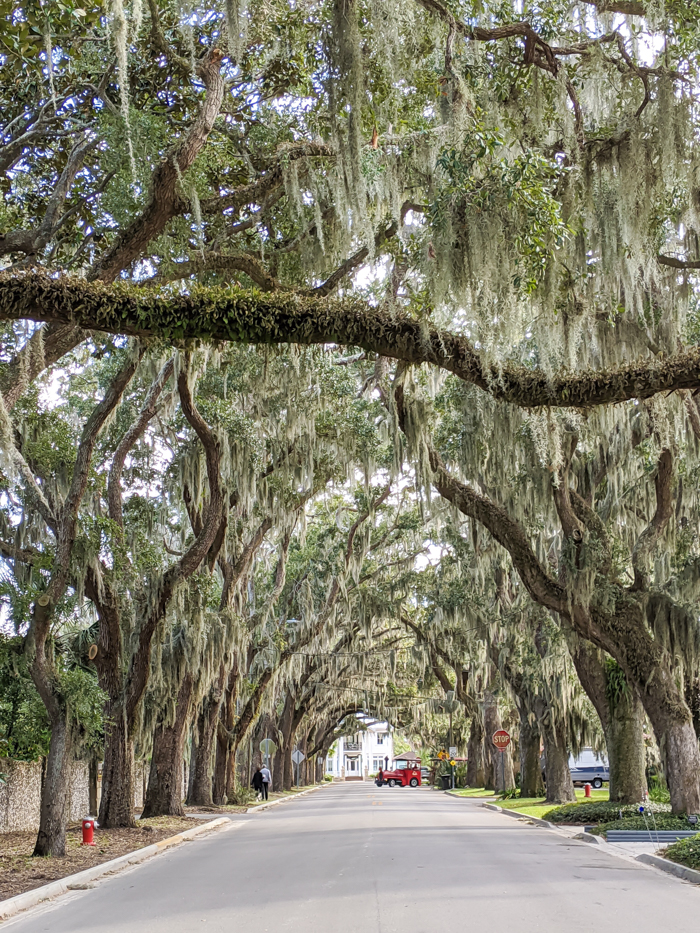 Magnolia Avenue / 1 day in St. Augustine, Florida: A quick trip to America's oldest city / 24 hours in St. Augustine / day trip to St. Augustine from Jacksonville or day trip to St. Augustine from Orlando 