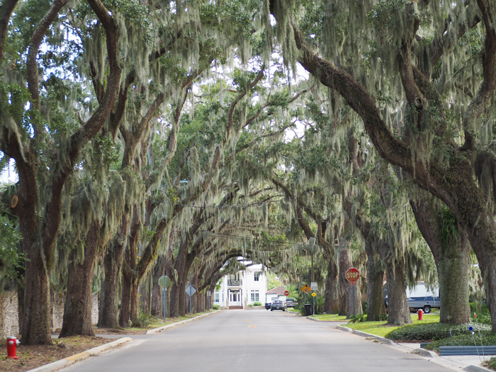Magnolia Avenue / 1 day in St. Augustine, Florida: A quick trip to America's oldest city / 24 hours in St. Augustine / day trip to St. Augustine from Jacksonville or day trip to St. Augustine from Orlando 