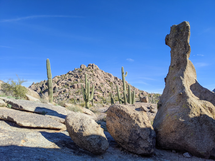 McDowell Sonoran Preserve / Offseason Arizona: 8 Reasons to Visit Scottsdale in the Winter / Scottsdale, Arizona / #scottsdale #arizona #wintertravel #desert