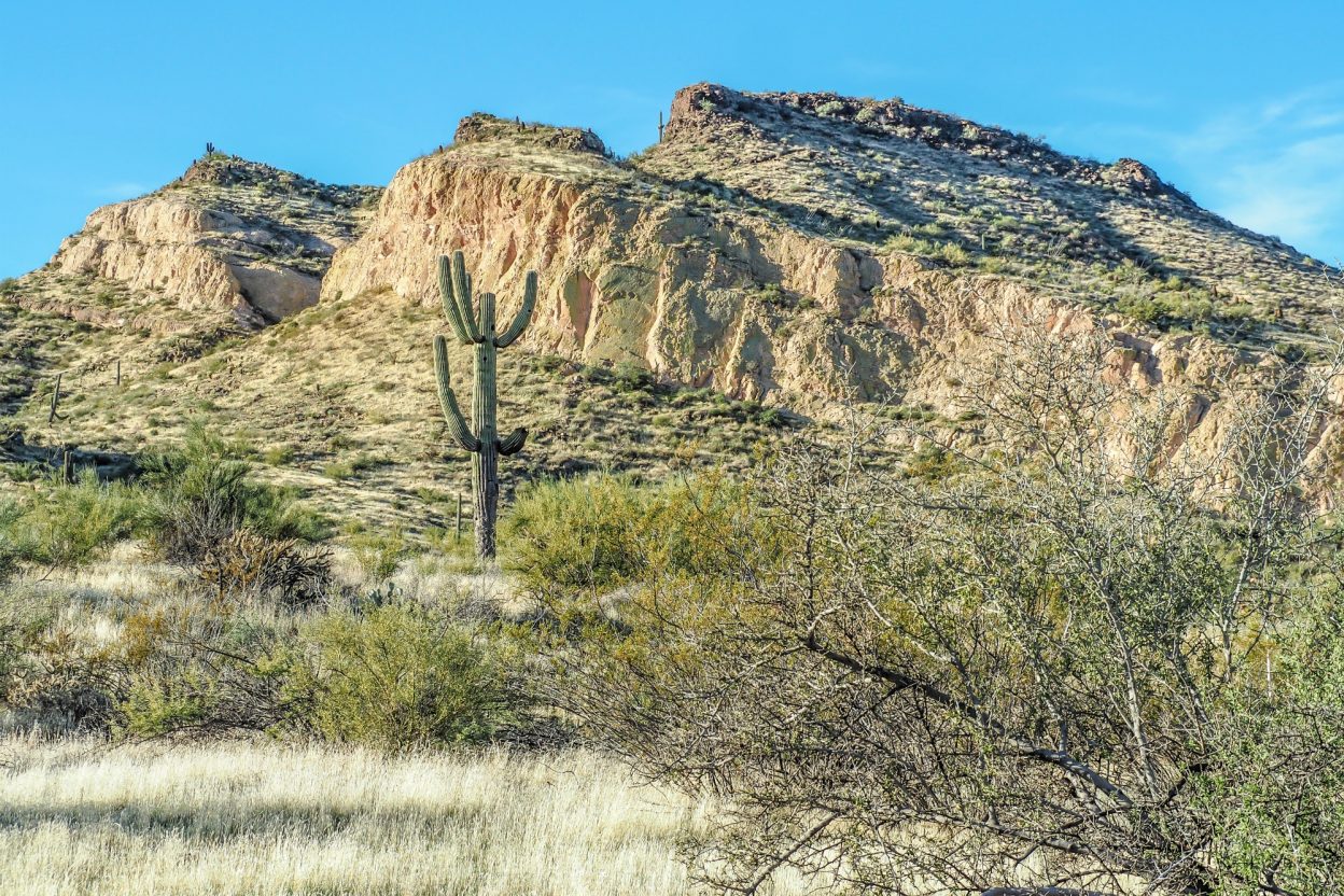 Reasons to visit Scottsdale in the winter / Scottsdale, Arizona