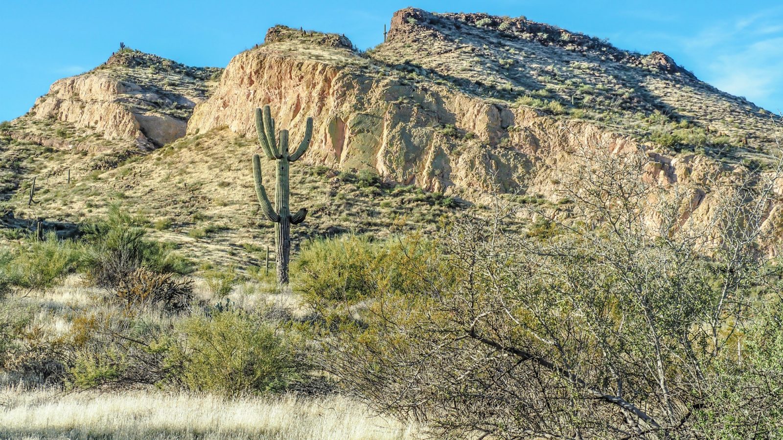 Reasons to visit Scottsdale in the winter / Scottsdale, Arizona