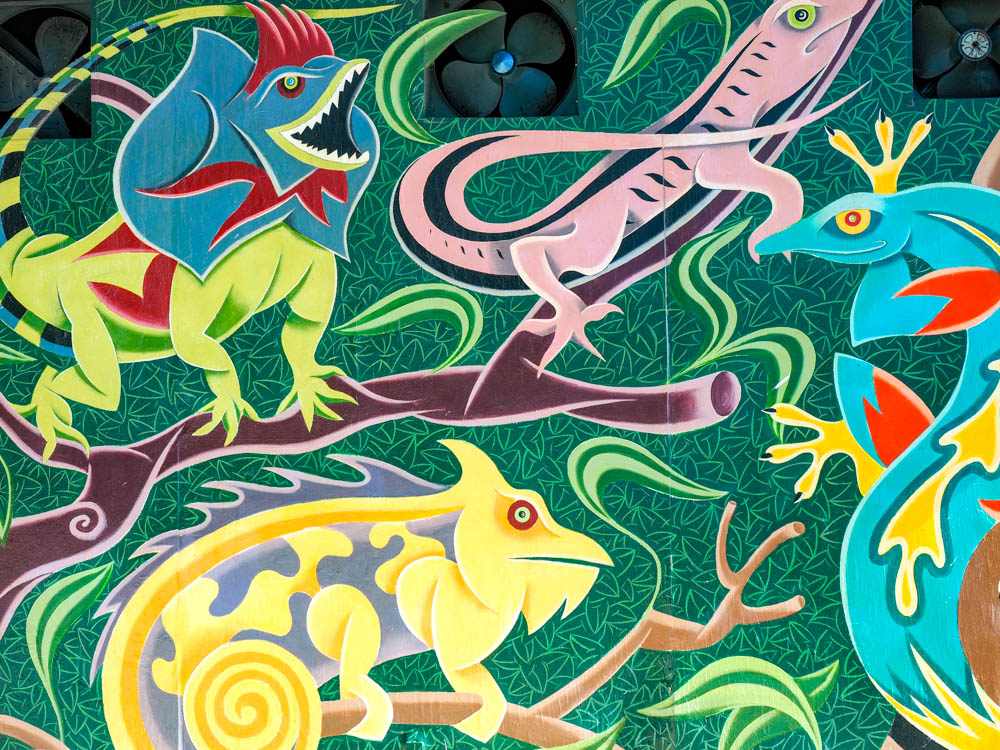 colorful lizard mural in caye caulker belize