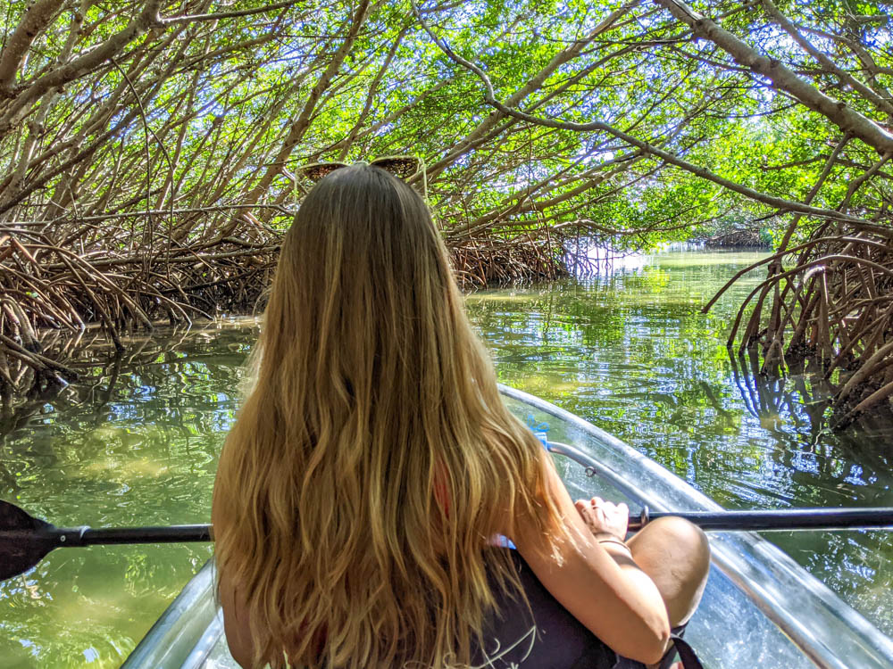 3 days in Sarasota, Florida / What to do in Sarasota, Where to eat in Sarasota, itinerary and information guide, kayaking through mangrove tunnels