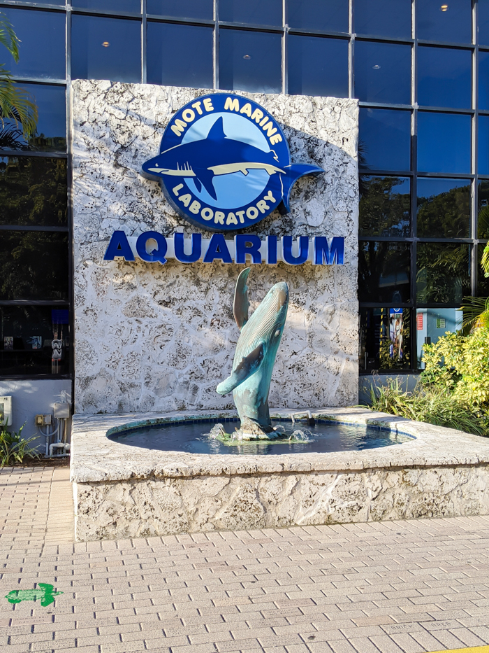 Mote Marine Aquarium / 3 days in Sarasota, Florida