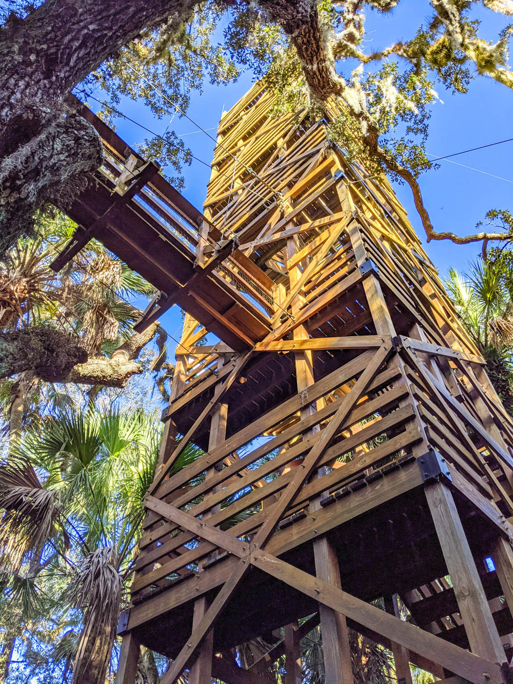 Myakka Canopy Walkway and Observation Tower / 3 days in Sarasota, Florida / What to do in Sarasota, Where to eat in Sarasota, itinerary and information guide