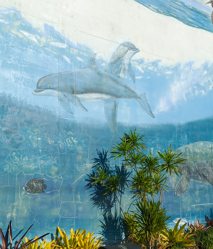 Wyland mural at Mote Marine Aquarium / 3 days in Sarasota, Florida / What to do in Sarasota, Where to eat in Sarasota, itinerary and information guide