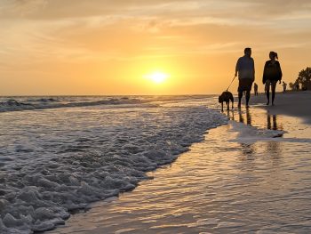 2 days in Fort Myers, Florida, a fun weekend itinerary: #fortmyers #florida #gulfcoast #sanibelisland #ftmyers #fortmyersflorida #floridabeach