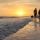 2 days in Fort Myers, Florida, a fun weekend itinerary: #fortmyers #florida #gulfcoast #sanibelisland #ftmyers #fortmyersflorida #floridabeach