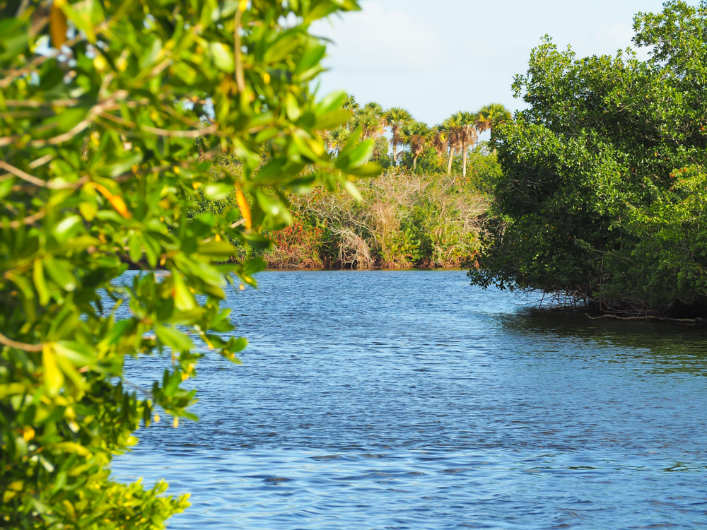 2 Tage in Fort Myers, Florida, ein lustiges Wochenende Reiseroute: Kanäle im Manatee Park