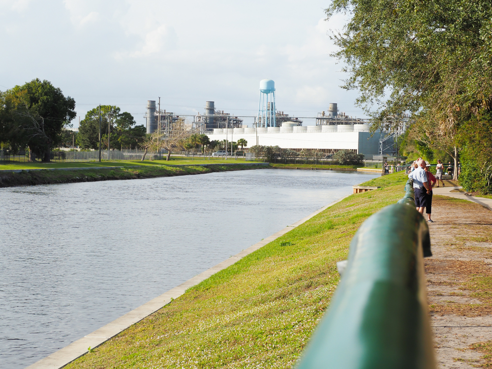 2 days in Fort Myers, Florida, a fun weekend itinerary: Manatee Park