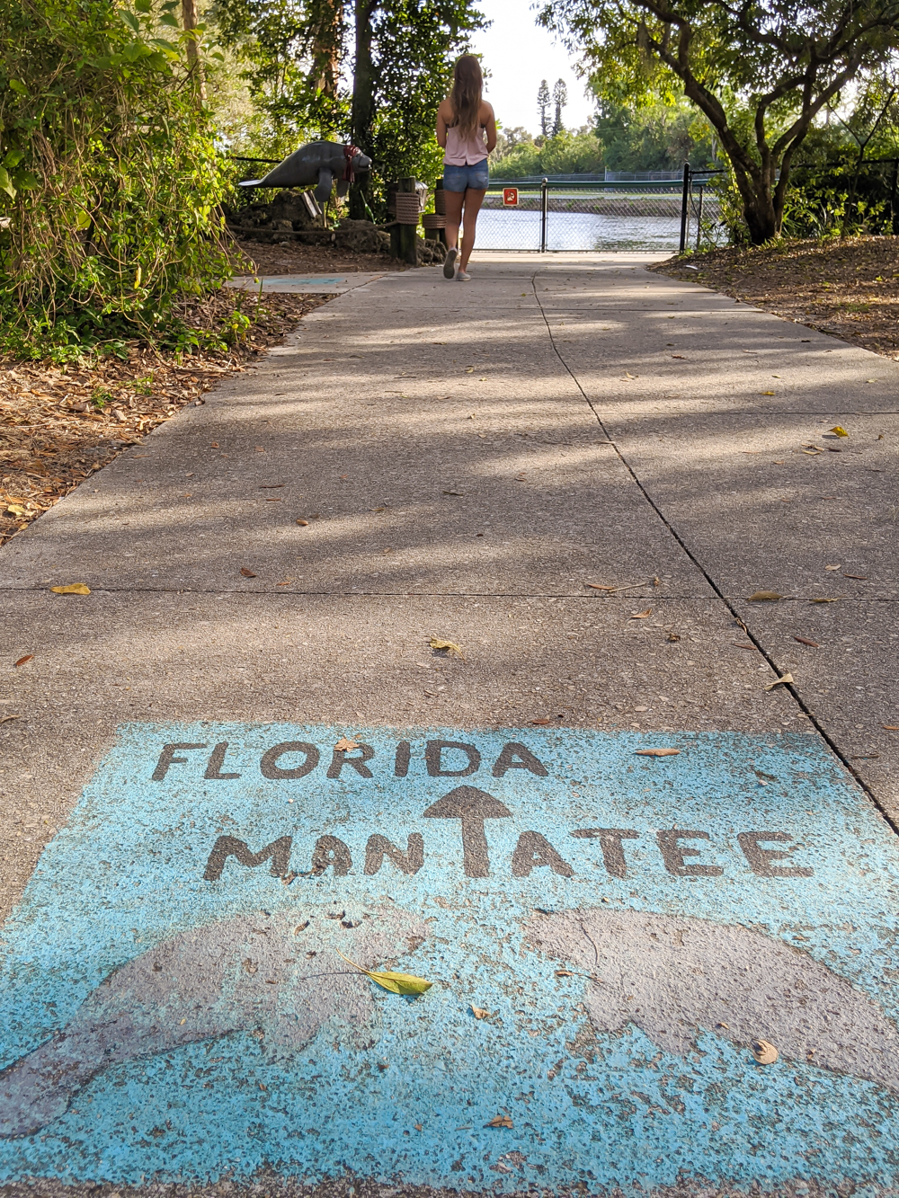 2 days in Fort Myers, Florida, a fun weekend itinerary: Manatee Park