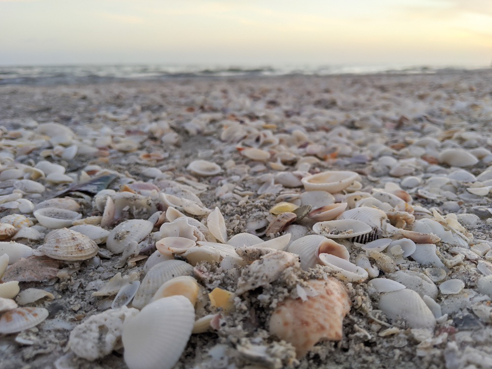 2 days in Fort Myers, Florida, a fun weekend itinerary: Sanibel island