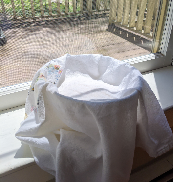 towel covered bowl in the window