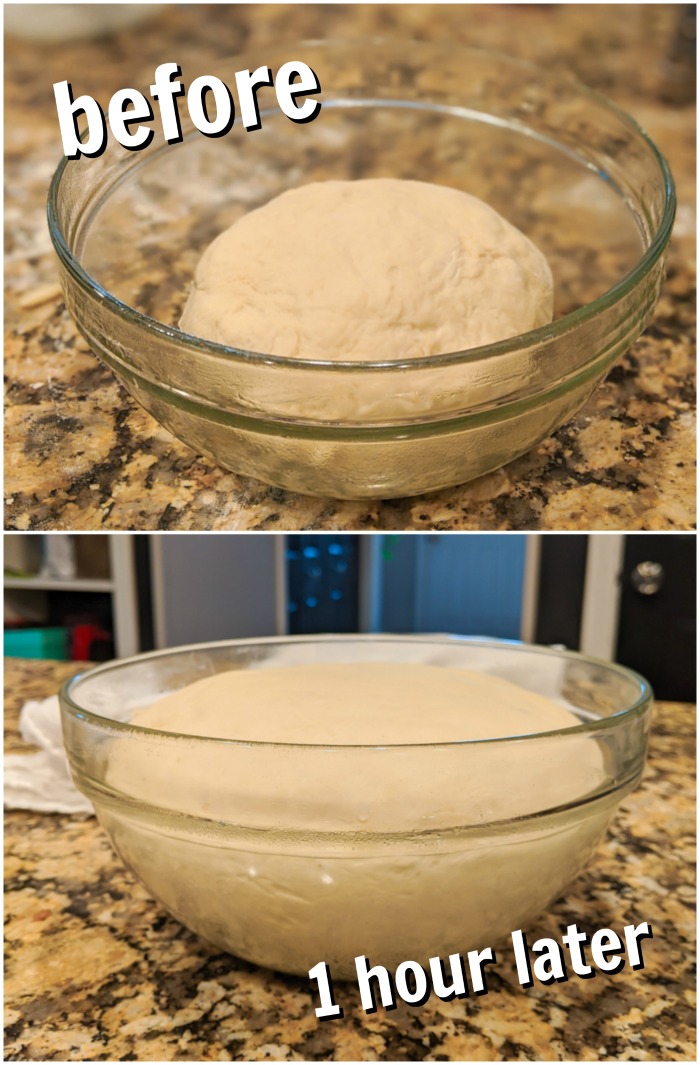 two bowls of dampfnudel dough before and after rising