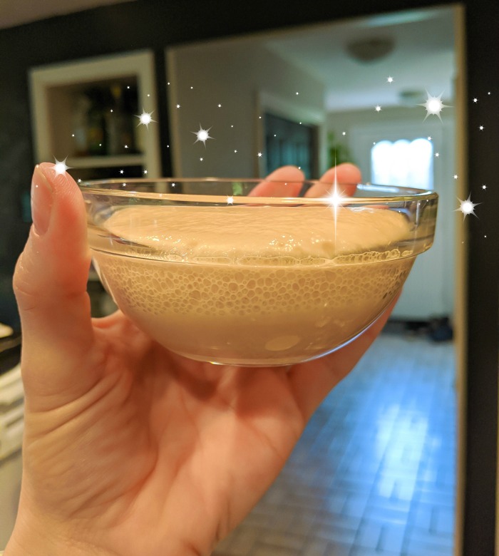 bowl of bubbling yeast for dampfnudel