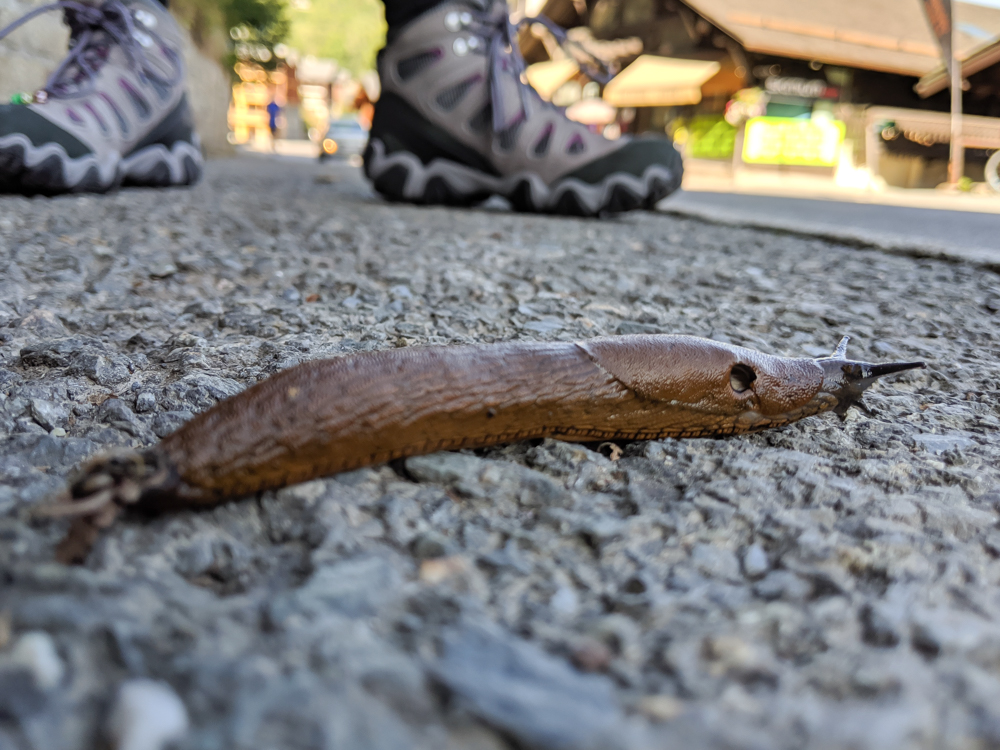 Awesome things to do in Chamonix in the summer: Alpine bucket list / slug