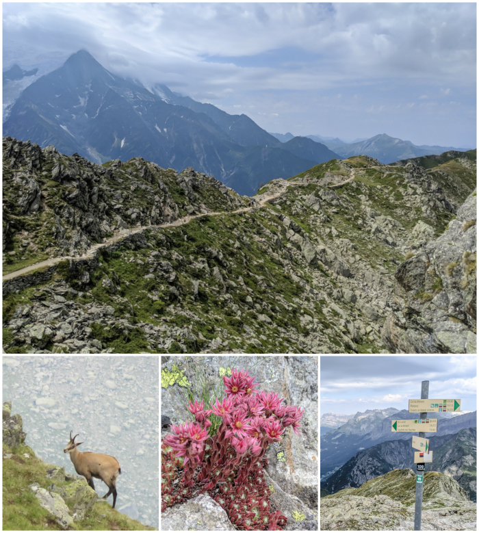 Awesome things to do in Chamonix in the summer: Alpine bucket list / Brevent to Refuge Bellachat to Merlet Animal Park to Chamonix hike