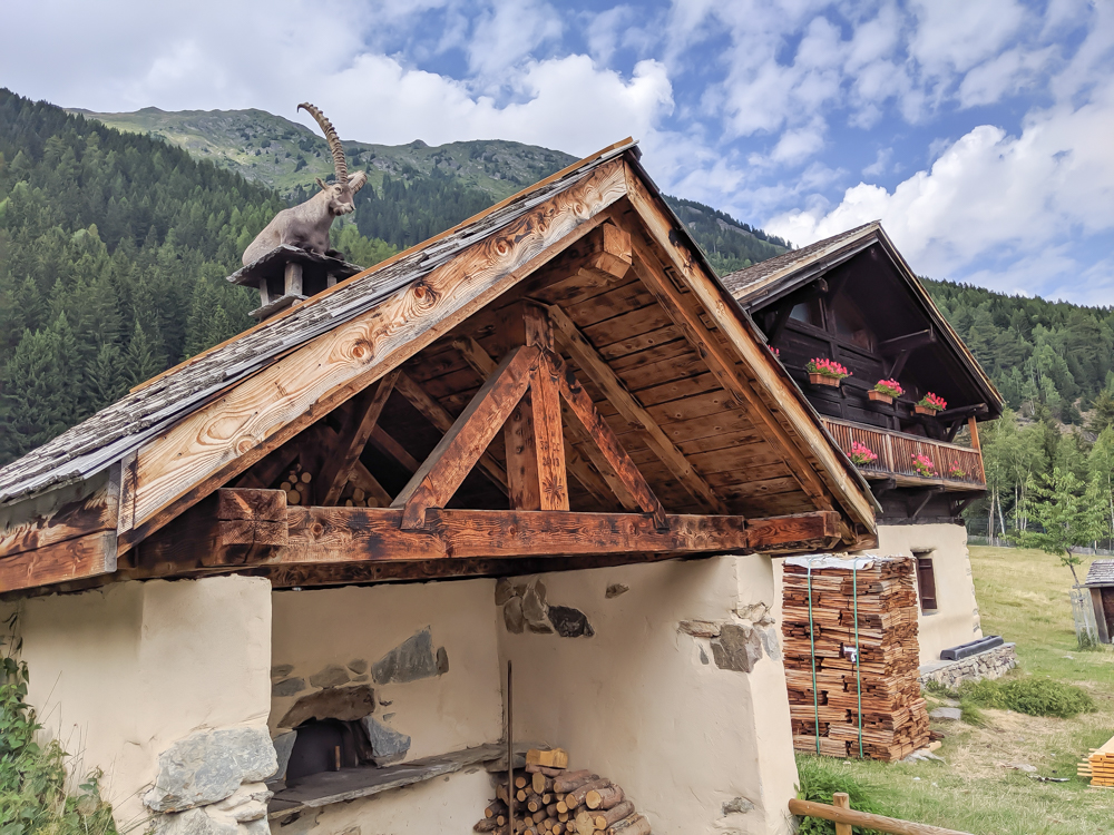 Awesome things to do in Chamonix in the summer: Alpine bucket list / Merlet Animal Park and rooftop ibex