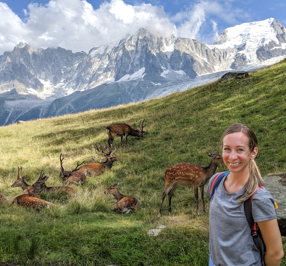 Awesome things to do in Chamonix in the summer: Alpine bucket list / Merlet Animal Park deer and views