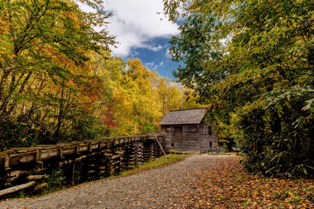 what to do in gatlinburg and pigeon forge tennessee - Newfound Gap Road