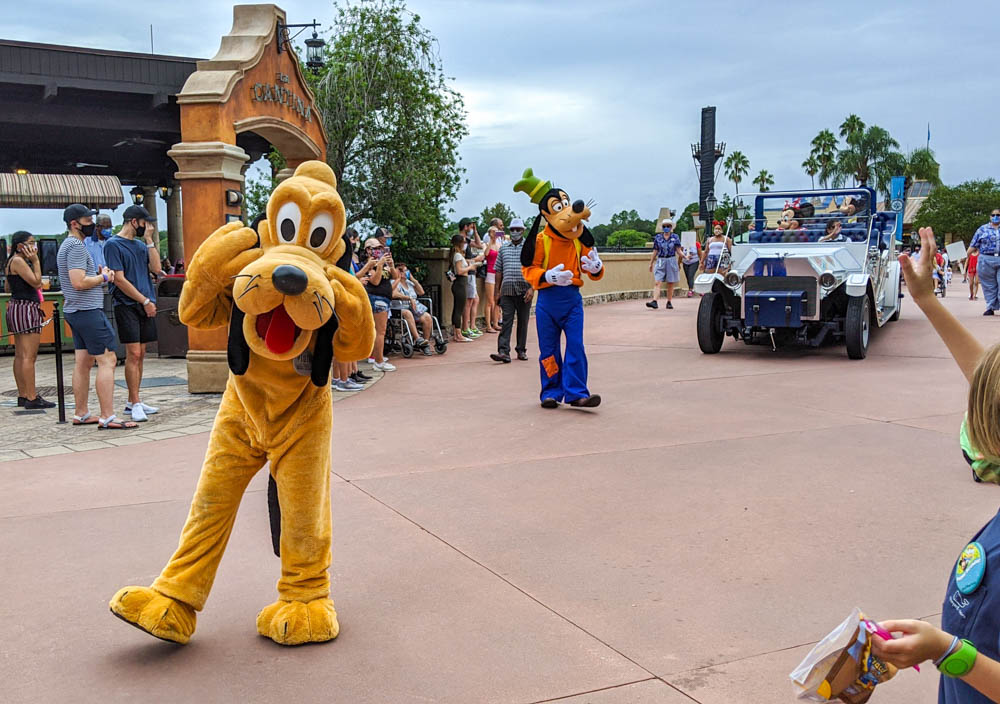 Pluto and Goofy at Disney World