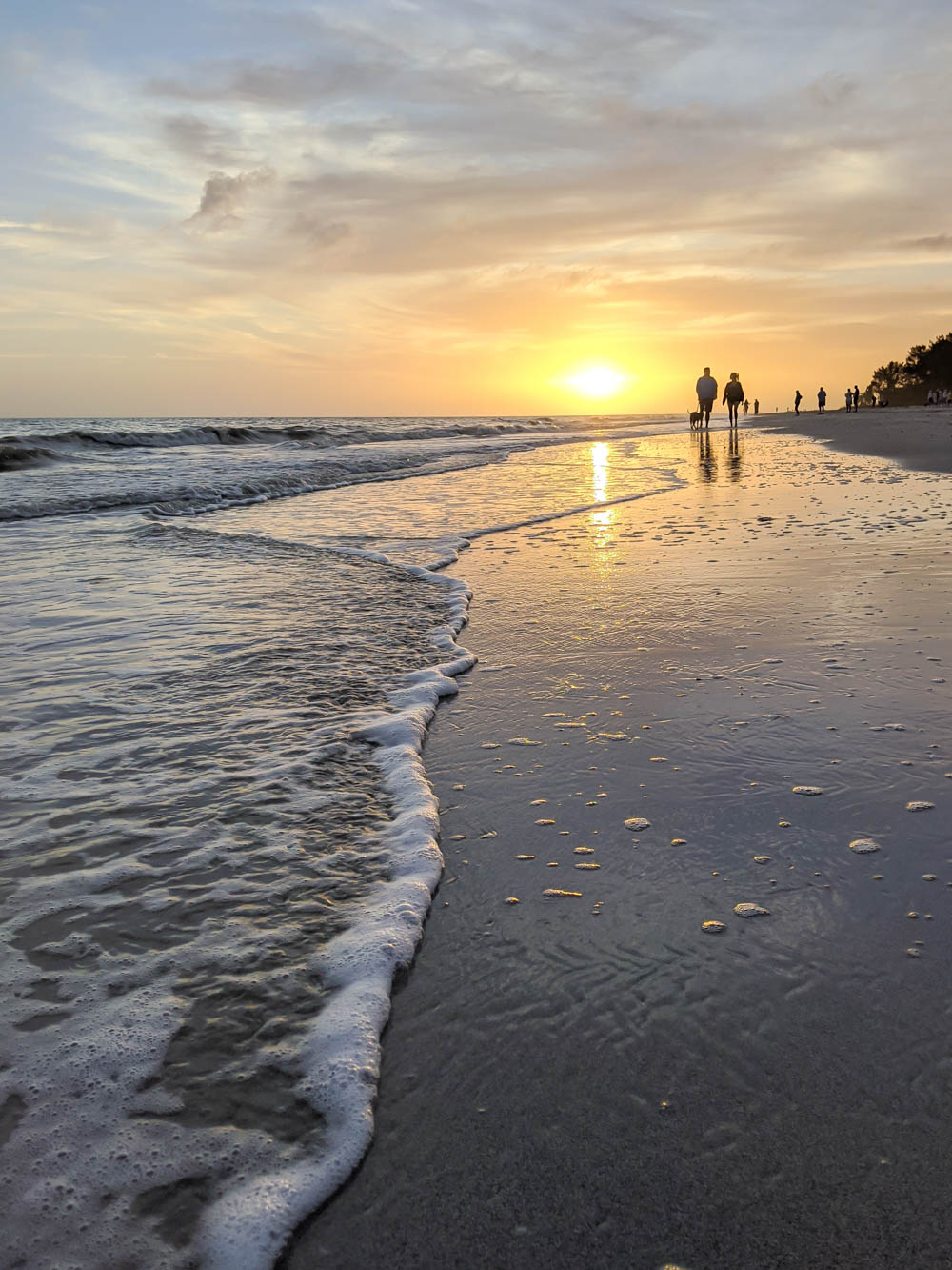 sunset over the beach