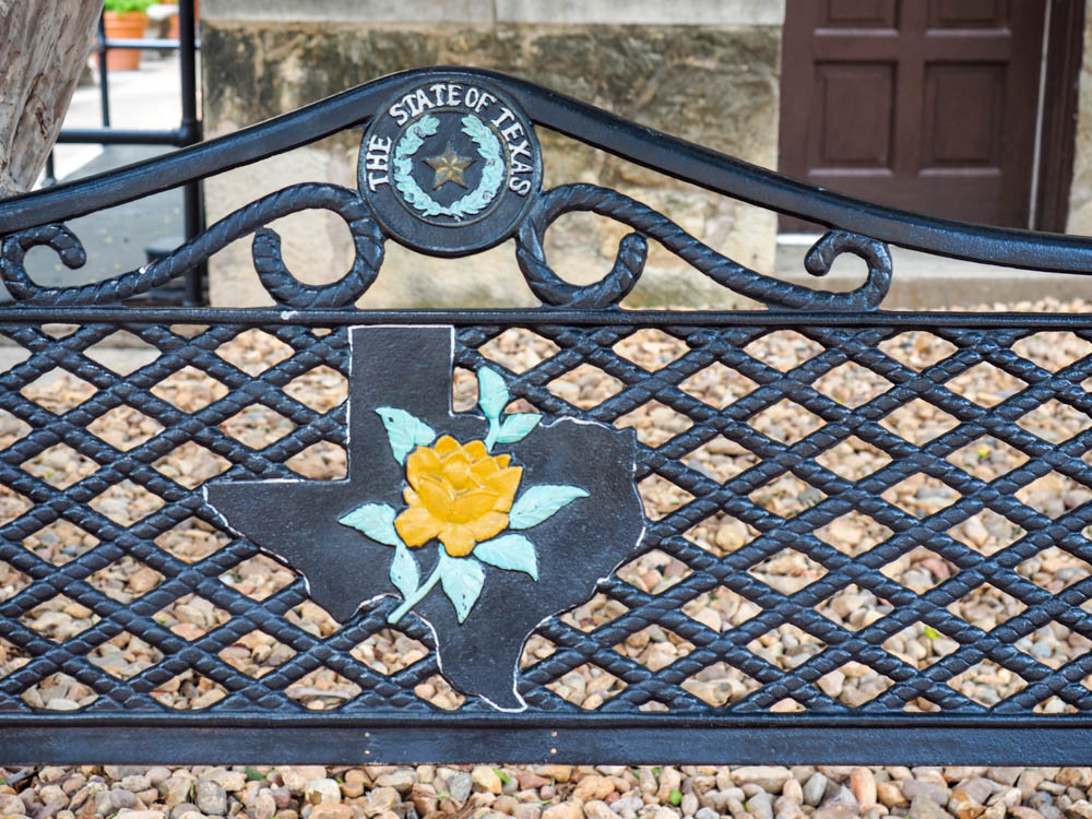 bench with yellow rose outside the historical sites in san antonio texas