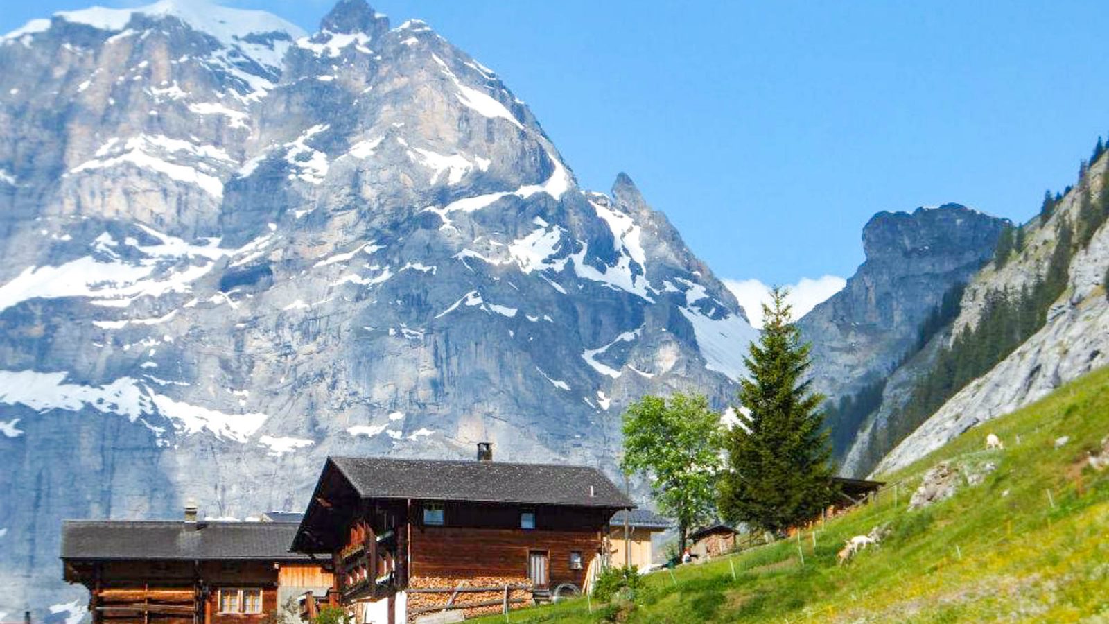 Where to stay in Gimmelwald, Switzerland: Mountain Hostels and B&Bs | Mountain Hostel, Esther's Guesthouse, Olle & Maria's Bed and Breakfast, Pension Gimmelwald | Best places to stay in Gimmelwald