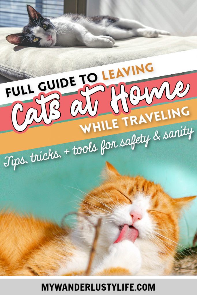 Leaving Cats at Home While on Vacation: A Complete Guide to Safety & Sanity