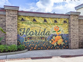 The Best Things to Do in Orlando Besides Theme Parks | Orlando, Florida for adults! Water sports, adventure activities, hiking, nature, craft beer, professional sports, and more!