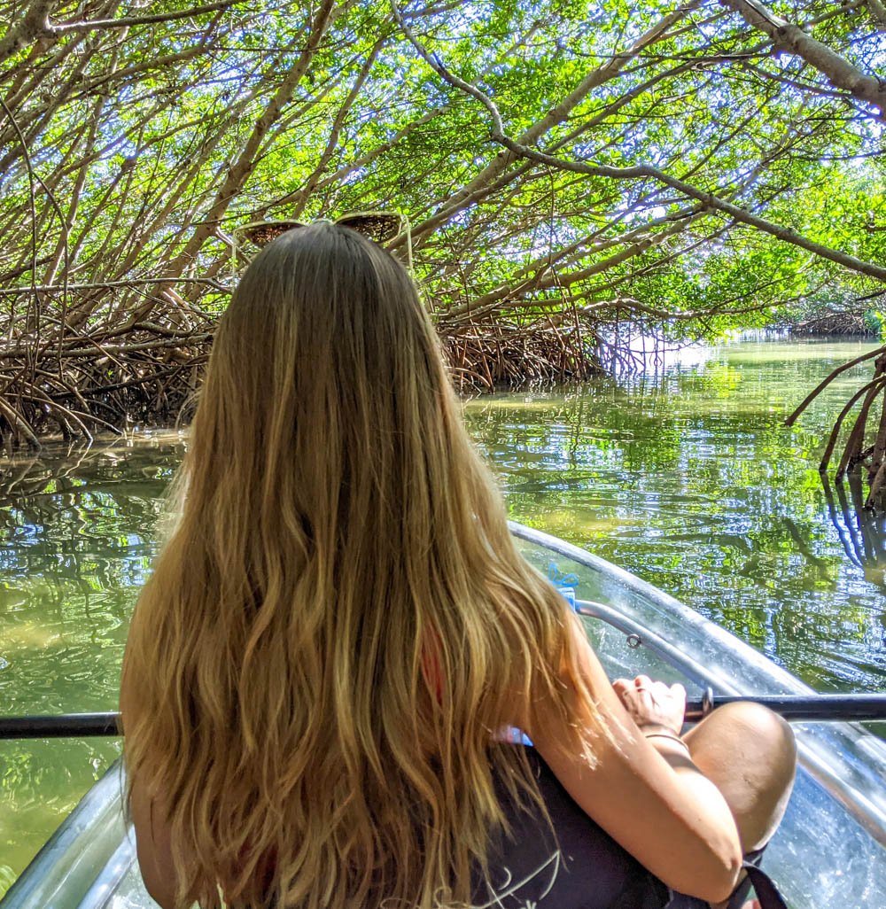 girl kayaking through mangrove tunnel in clear kayak