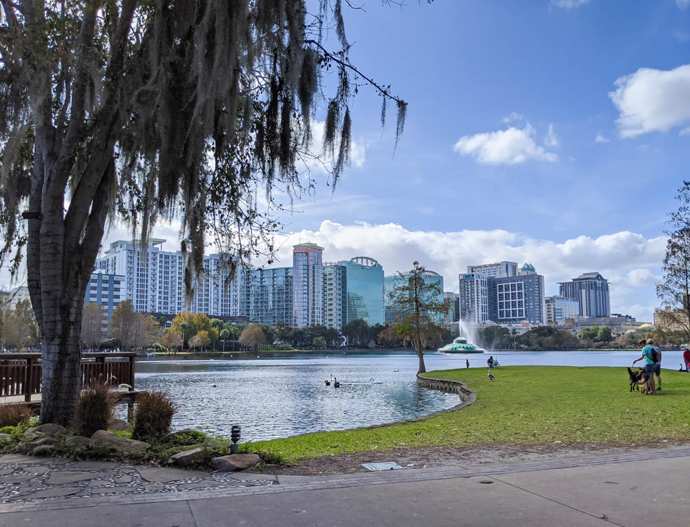 downtown skyline behind a lake and tree with spanish moss