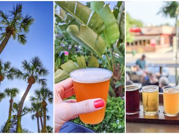 Awesome breweries in palm beach county, florida | west palm beach breweries, boynton beach, delray beach, jupiter, boca raton | craft beer and cider
