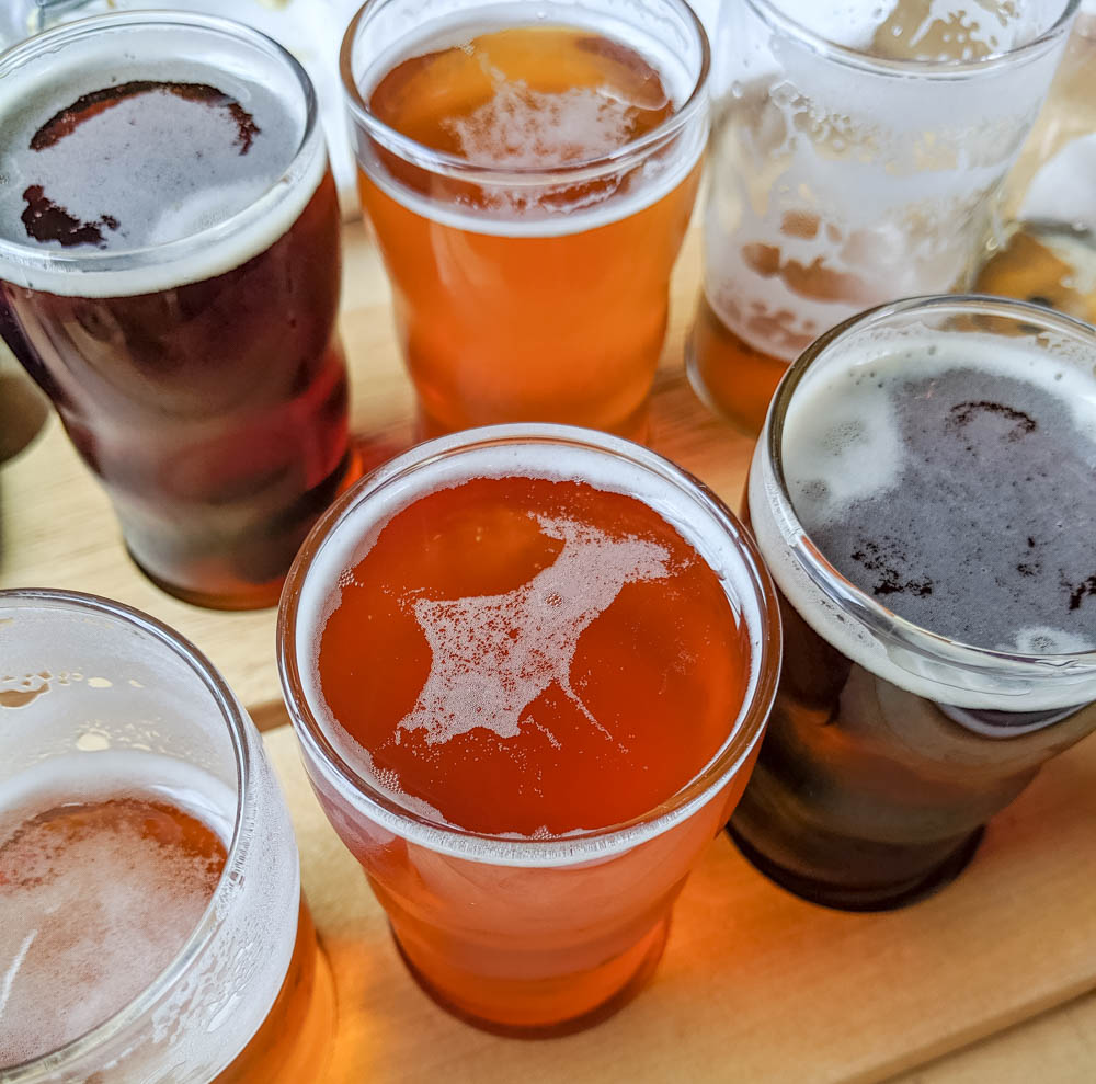 craft beer sampler | Awesome breweries in palm beach county, florida | craft beer and cider in west palm beach