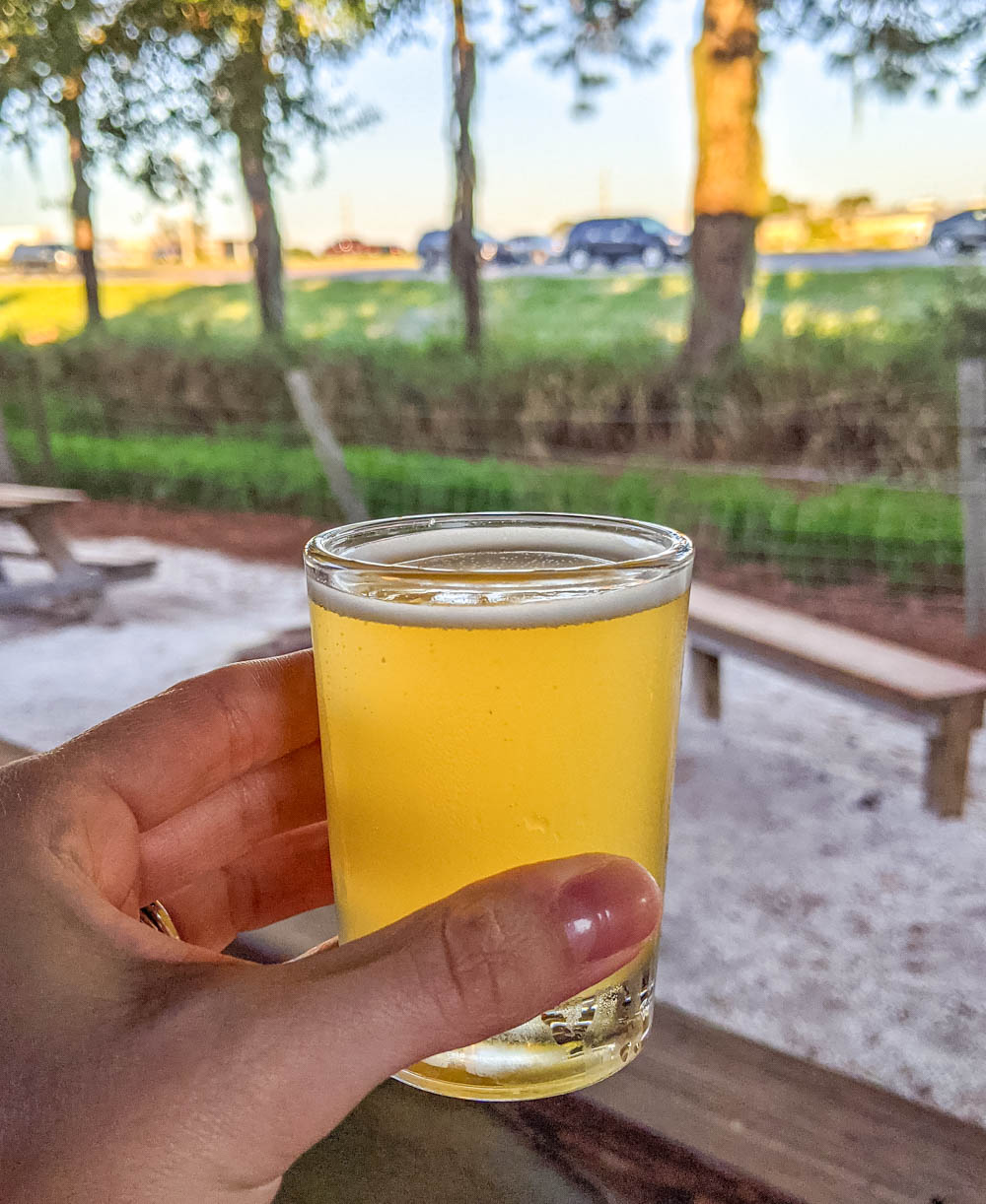 kolsch | Awesome breweries in palm beach county, florida | craft beer and cider in west palm beach