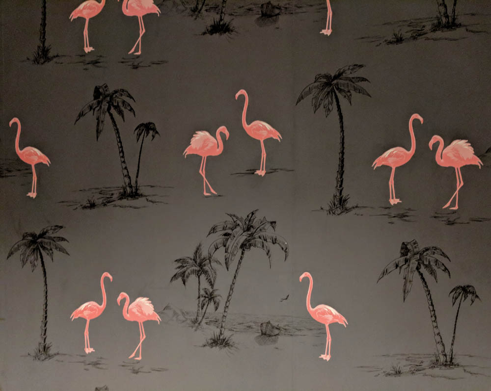 flamingo wallpaper | Awesome breweries in palm beach county, florida | craft beer and cider in west palm beach