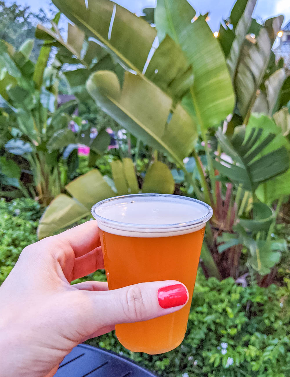 palm trees beer sampler | Awesome breweries in palm beach county, florida | craft beer and cider in west palm beach