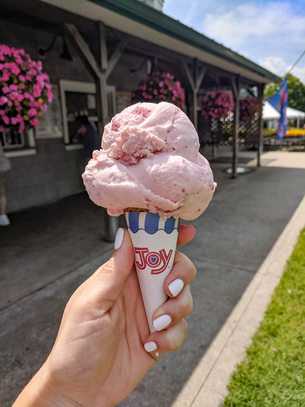 strawberry ice cream cone in front of pink flowers