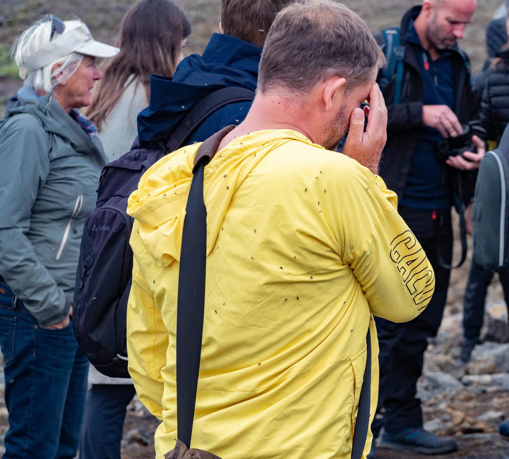 man in yellow shirt covered in flies