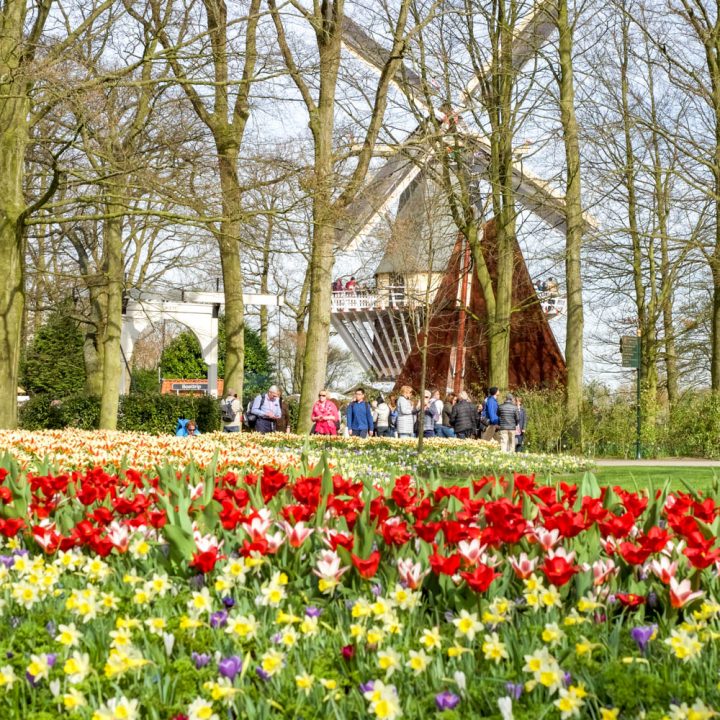 trip from amsterdam to keukenhof