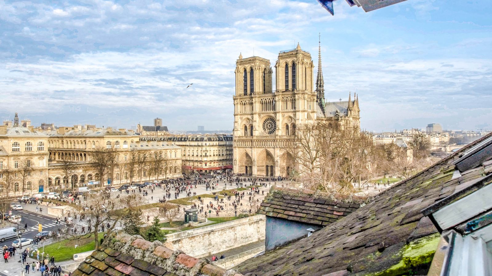 view of Notre Dame cathedral in paris from a rooftop window