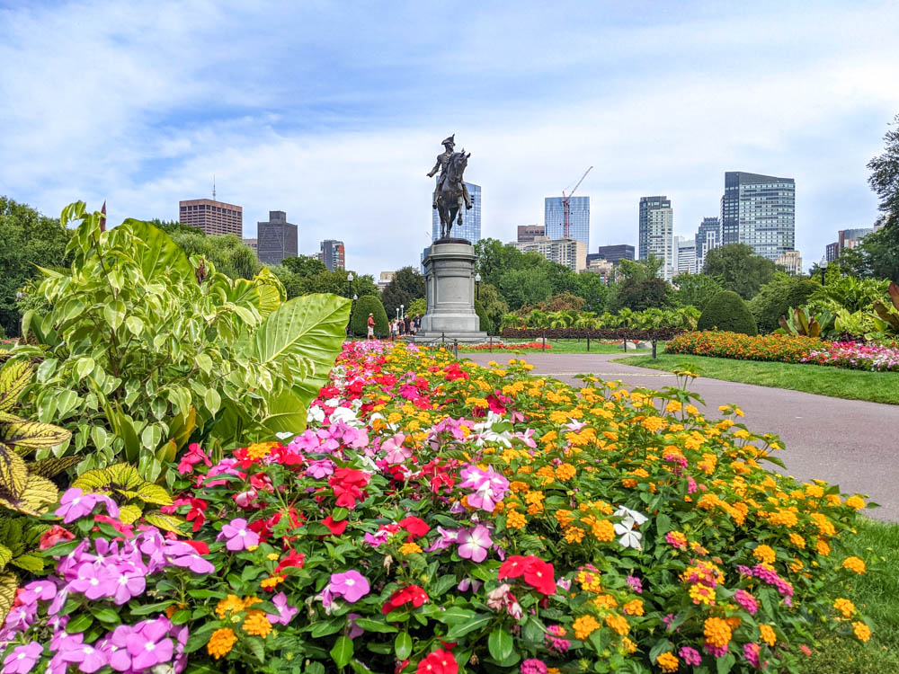 view of george washington statue from behind brightly colored flowers in the city