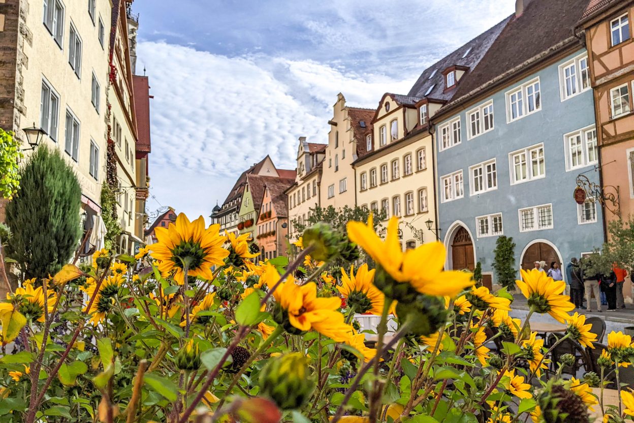 yellow flowers in front of medieval colorful buildings