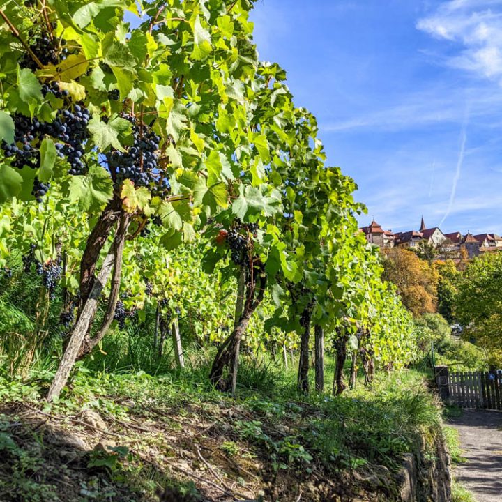 rothenburg day tour