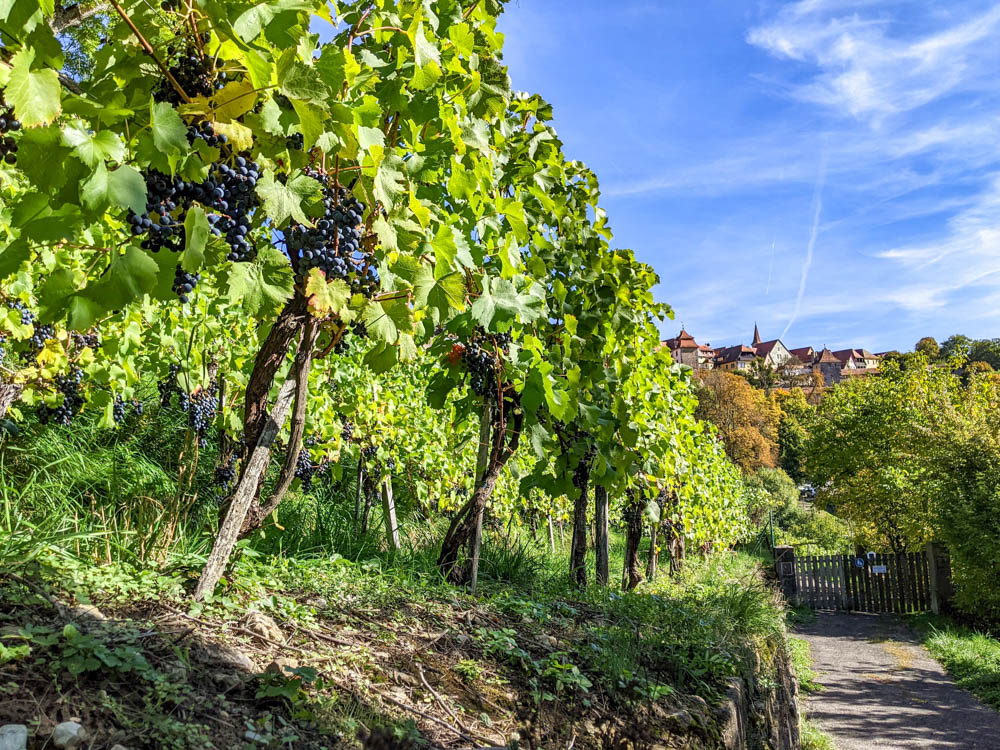 rothenburg day tour