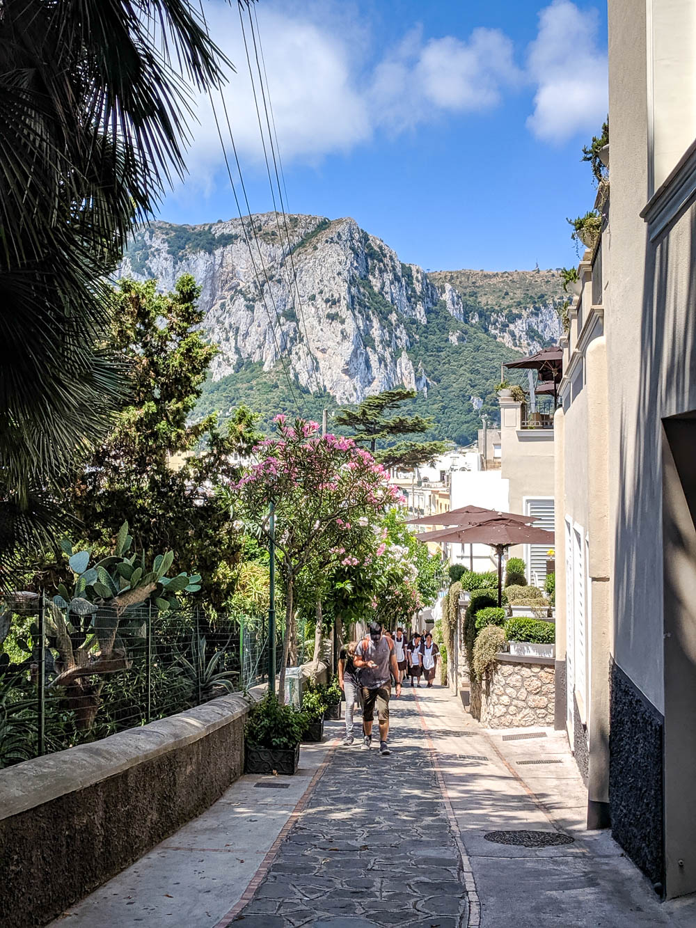 capri day trip or stay