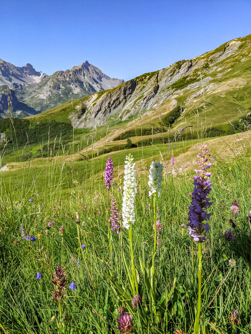 gear for tour du mont blanc